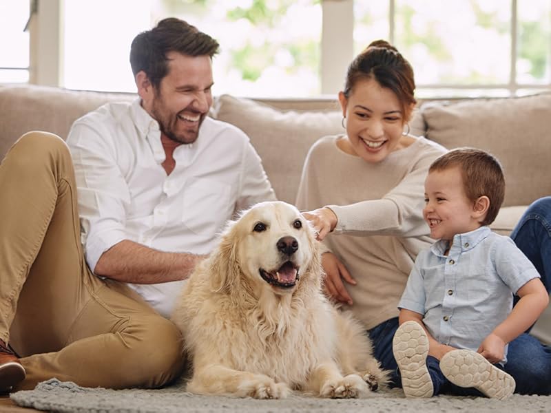 Familie mit kleinem Kind und Hund auf einem Sofa